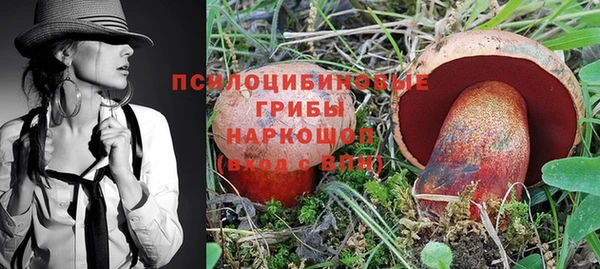СК Новодвинск