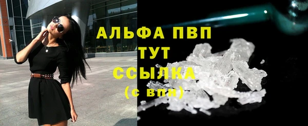амф Новозыбков