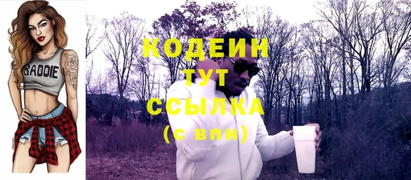 амф Новозыбков
