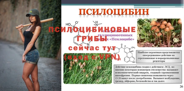 амф Новозыбков