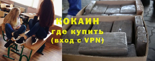 амф Новозыбков